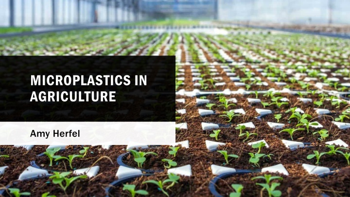 microplastics in agriculture