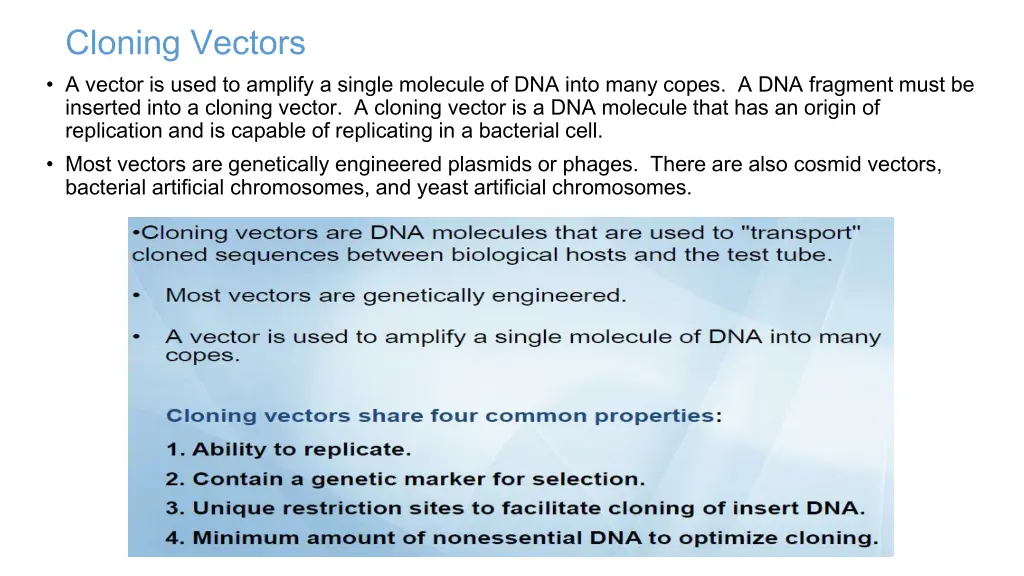 cloning vectors a vector is used to amplify