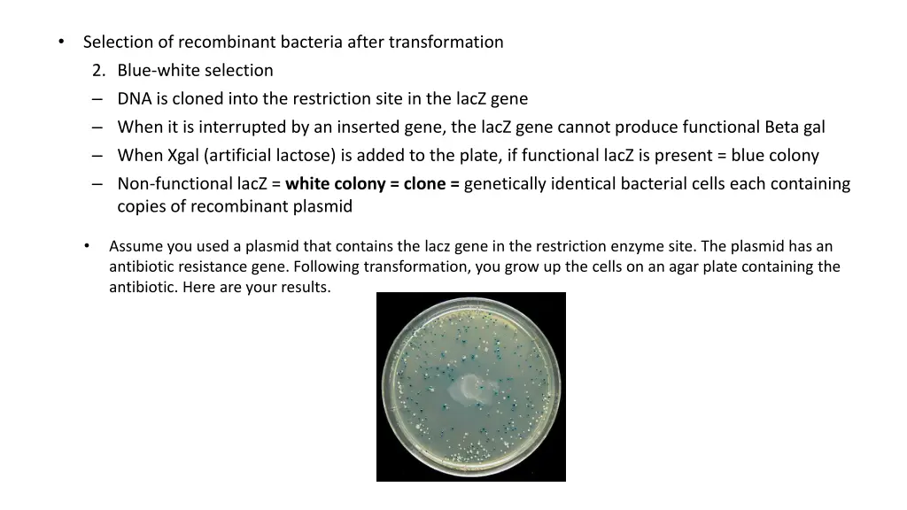 slide17