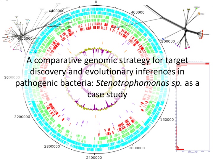 a comparative genomic strategy for target