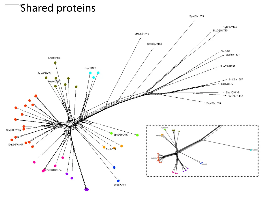 shared proteins