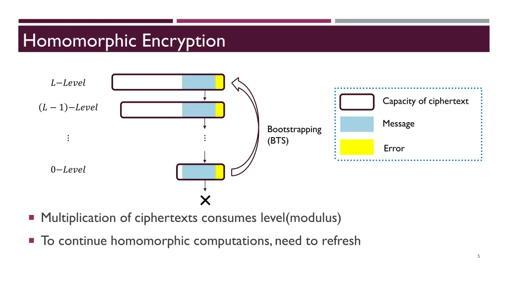 homomorphic encryption 1