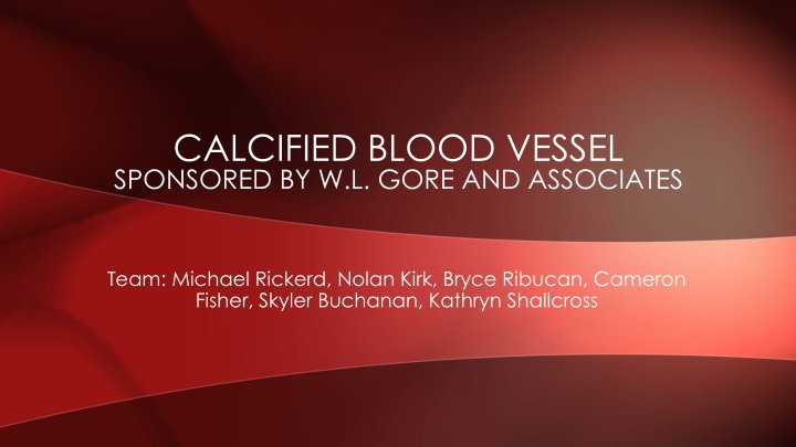 calcified blood vessel sponsored by w l gore