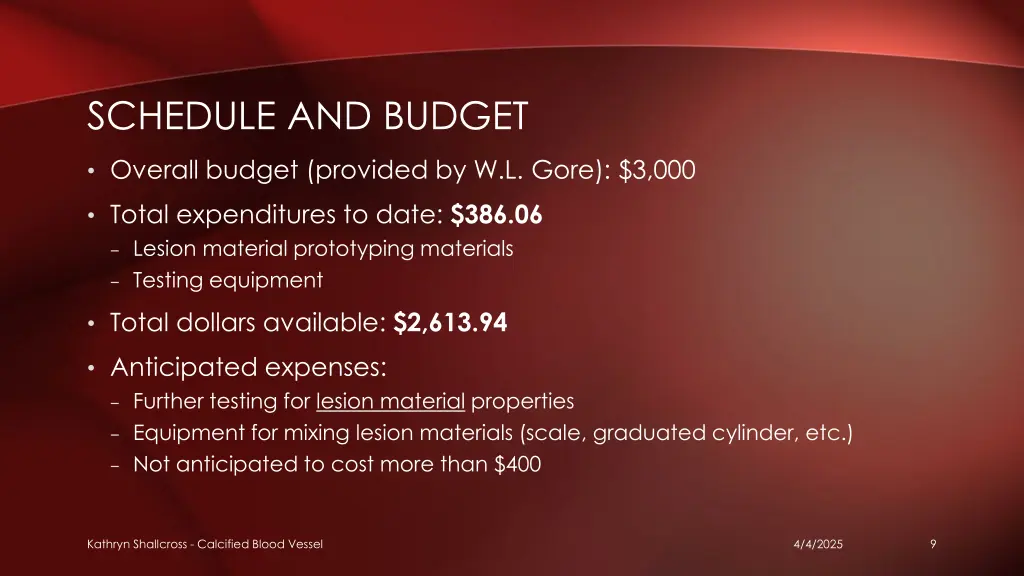 schedule and budget 1