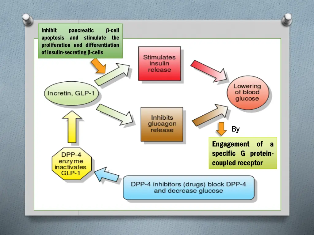 inhibit apoptosis proliferation