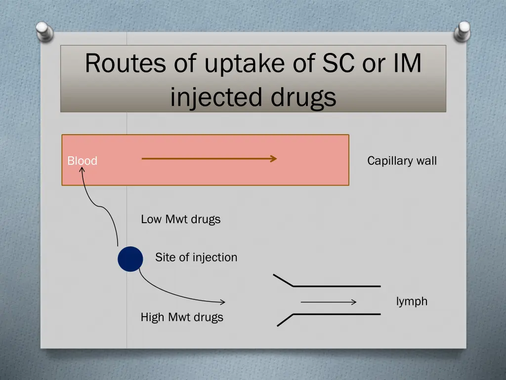routes of uptake of sc or im injected drugs
