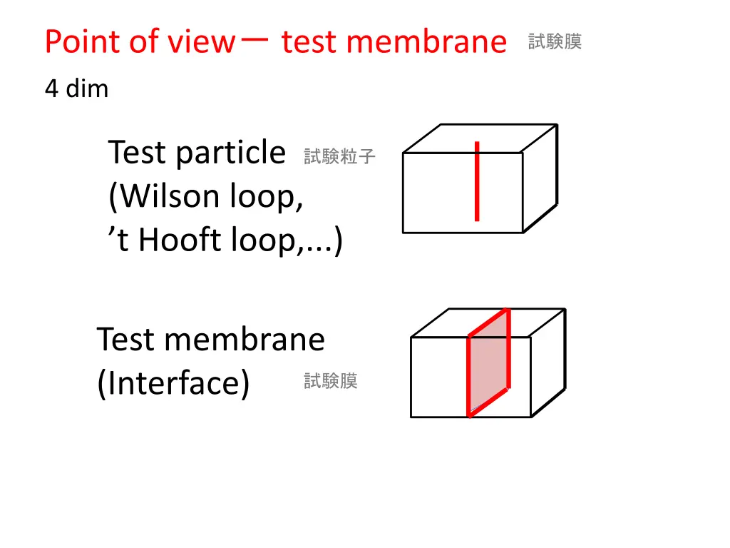 point of view test membrane 4 dim