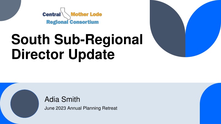 south sub regional director update