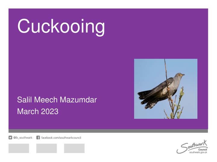 cuckooing