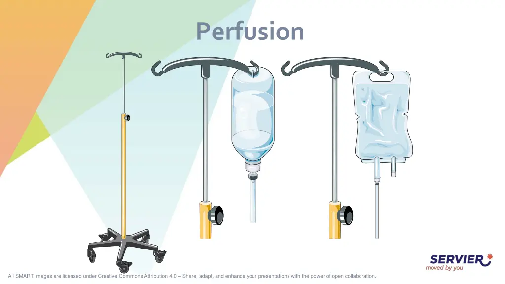 perfusion