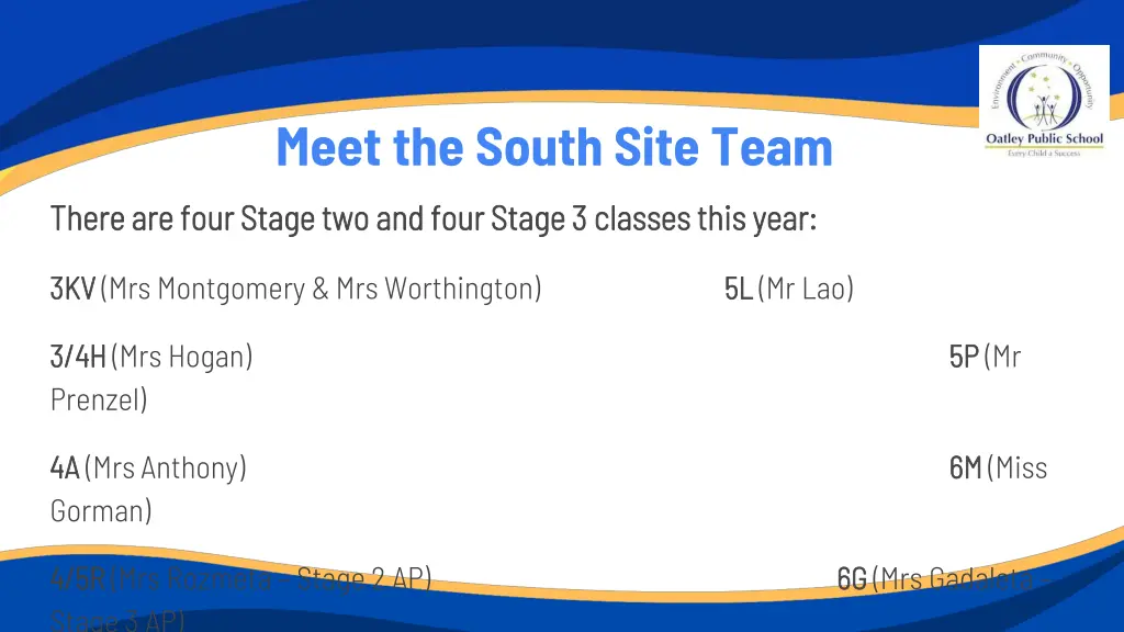 meet the south site team