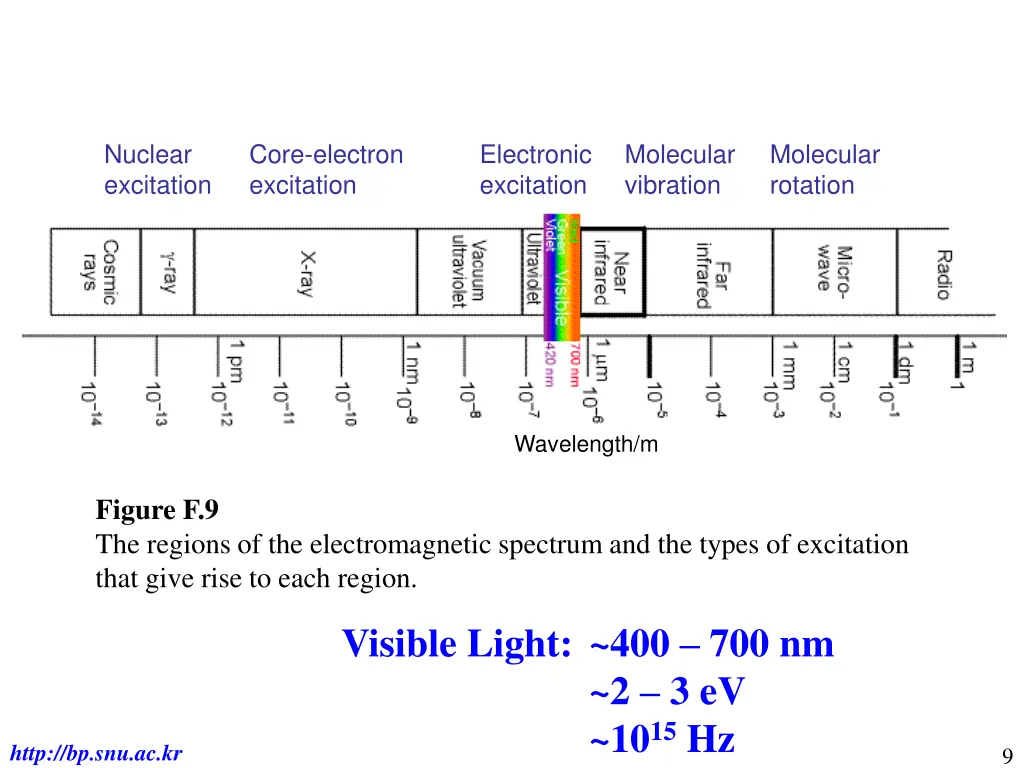 nuclear excitation