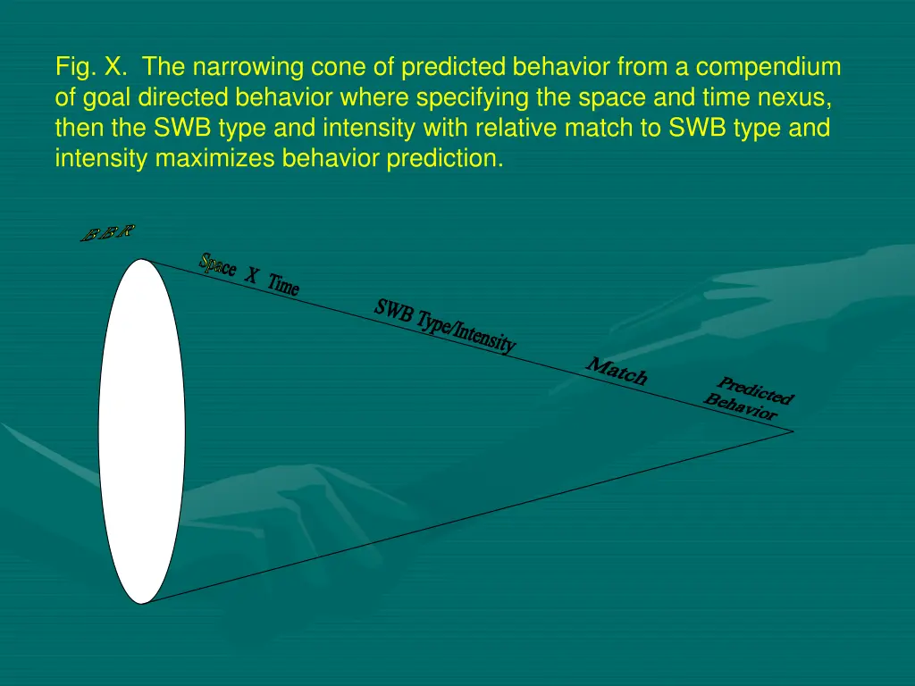 fig x the narrowing cone of predicted behavior