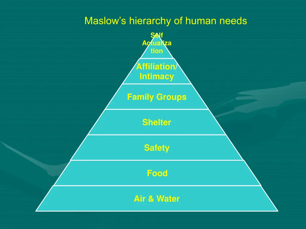 maslow s hierarchy of human needs