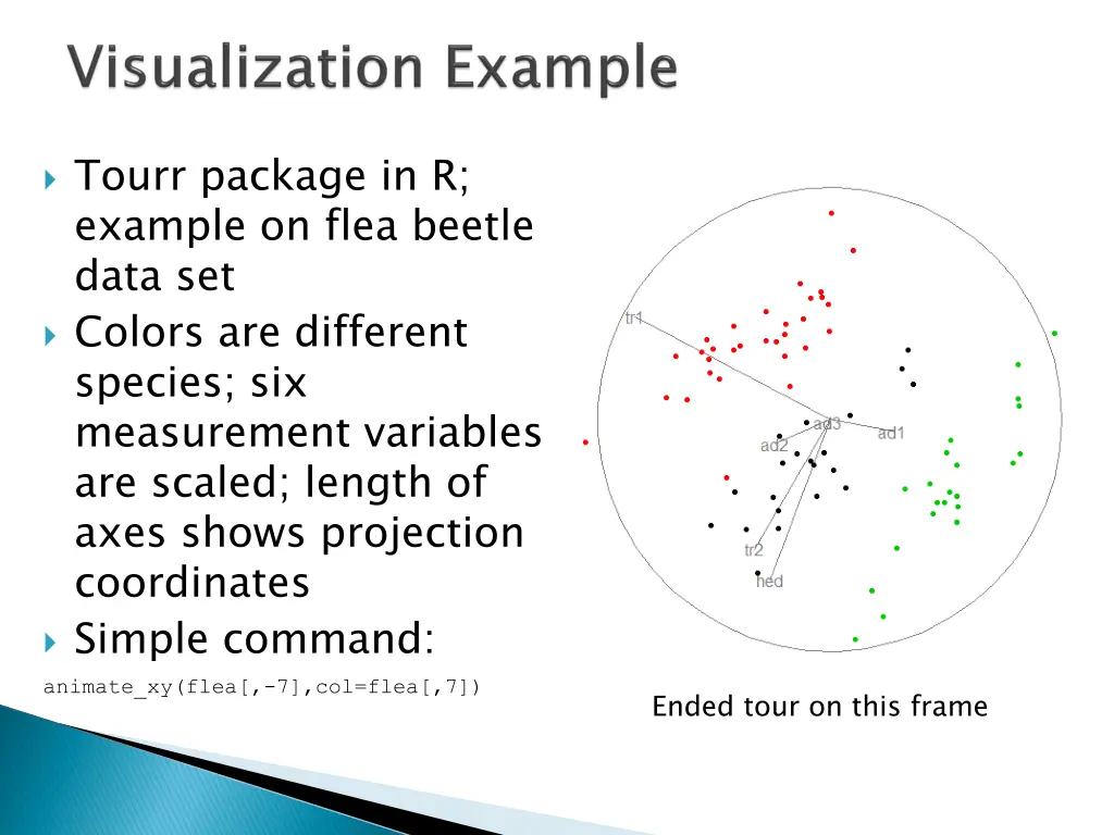 tourr package in r example on flea beetle data