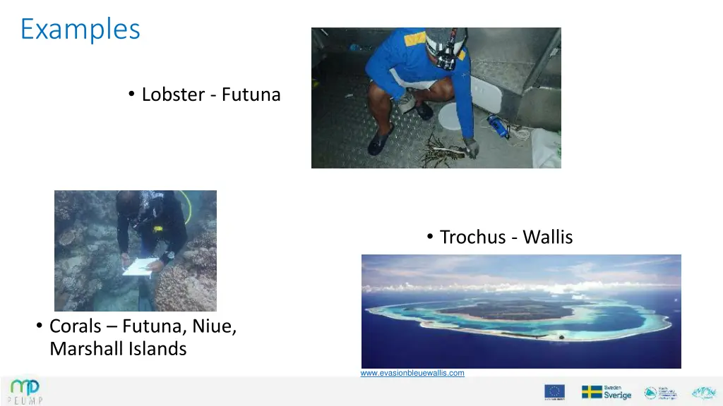 examples 1