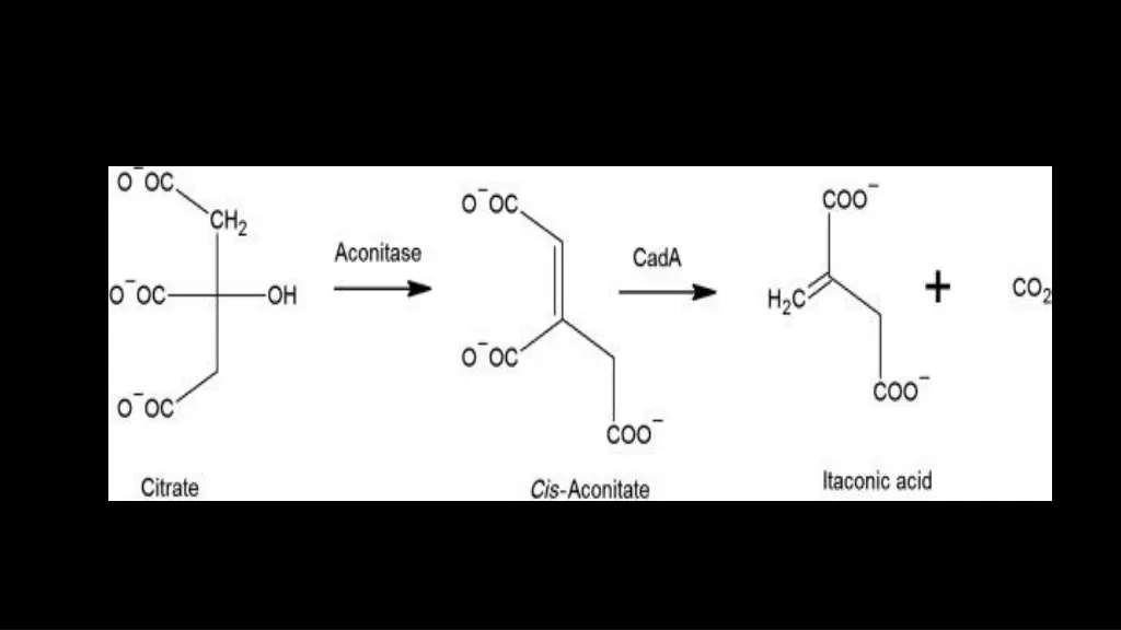 slide3