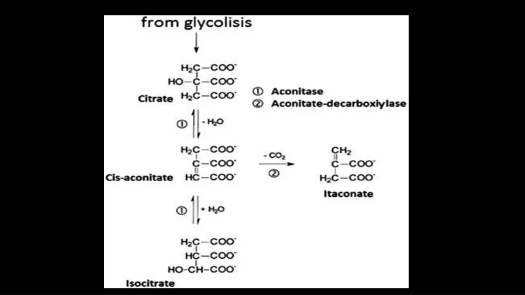 slide5