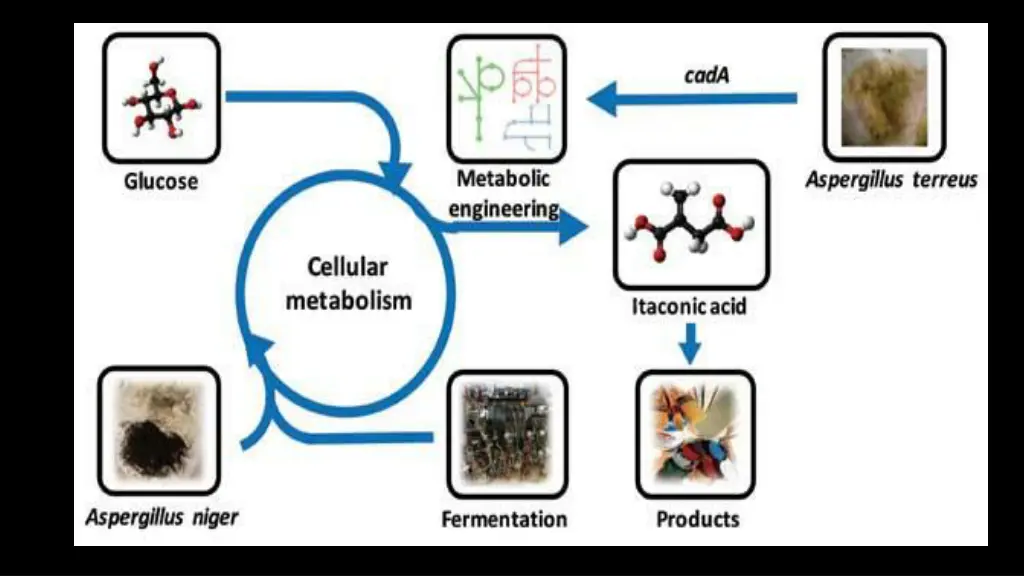 slide6