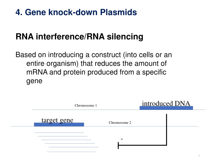 4 gene knock down plasmids