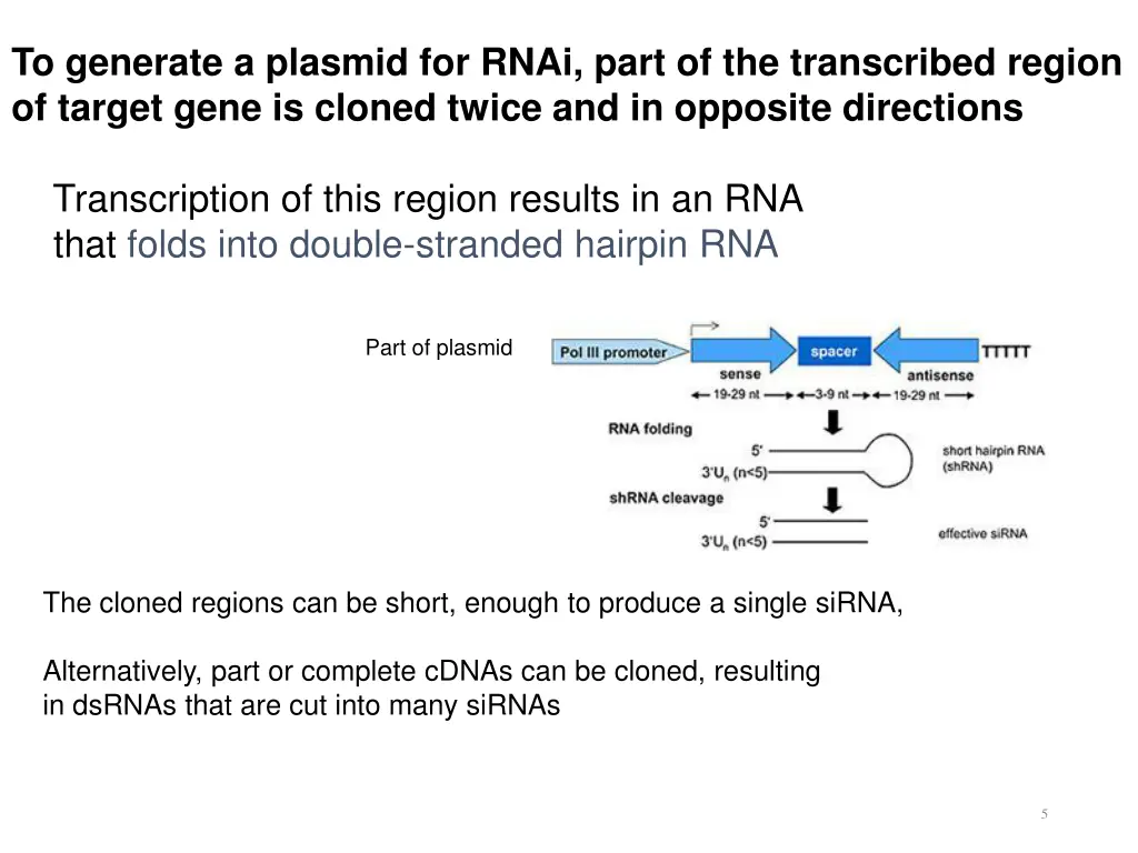 to generate a plasmid for rnai part