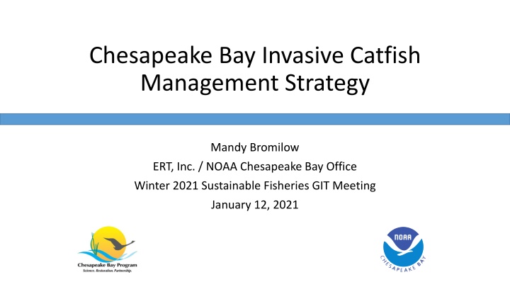 chesapeake bay invasive catfish management