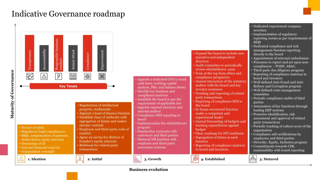 indicative governance roadmap
