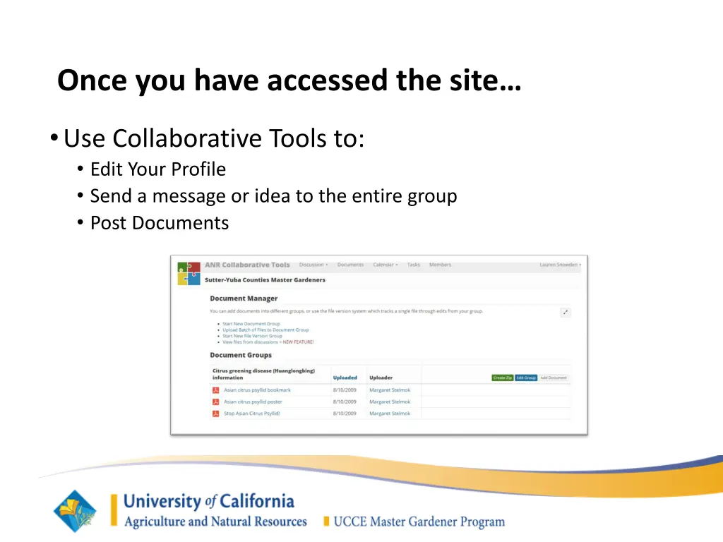 once you have accessed the site