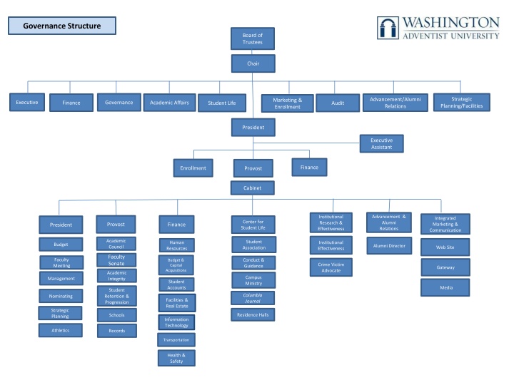 governance structure