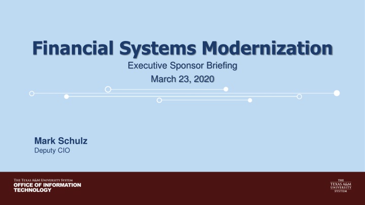 financial systems modernization executive sponsor