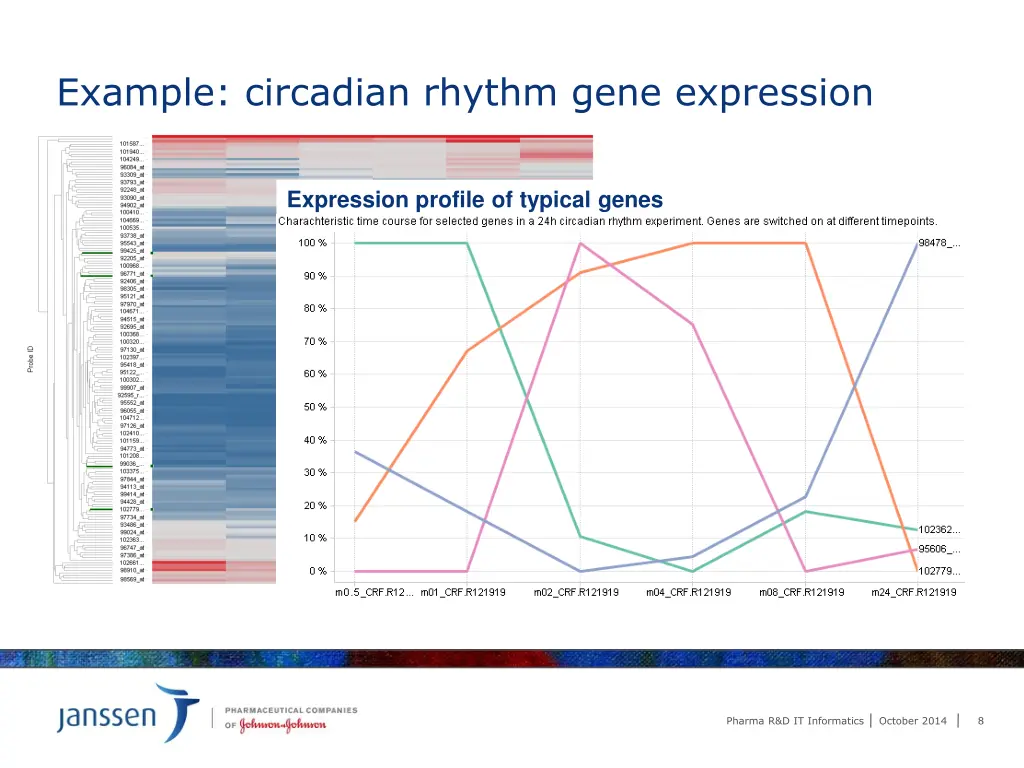 example circadian rhythm gene expression