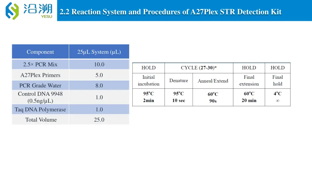 2 2 reaction system and procedures of a27plex