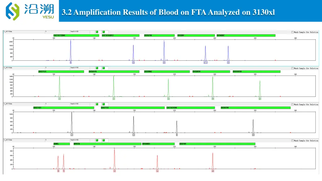 3 2 amplification results of blood