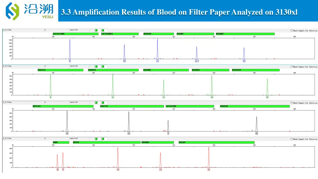 3 3 amplification results of blood on filter