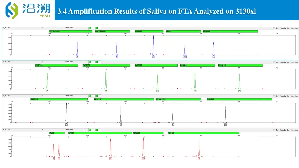 3 4 amplification results of saliva