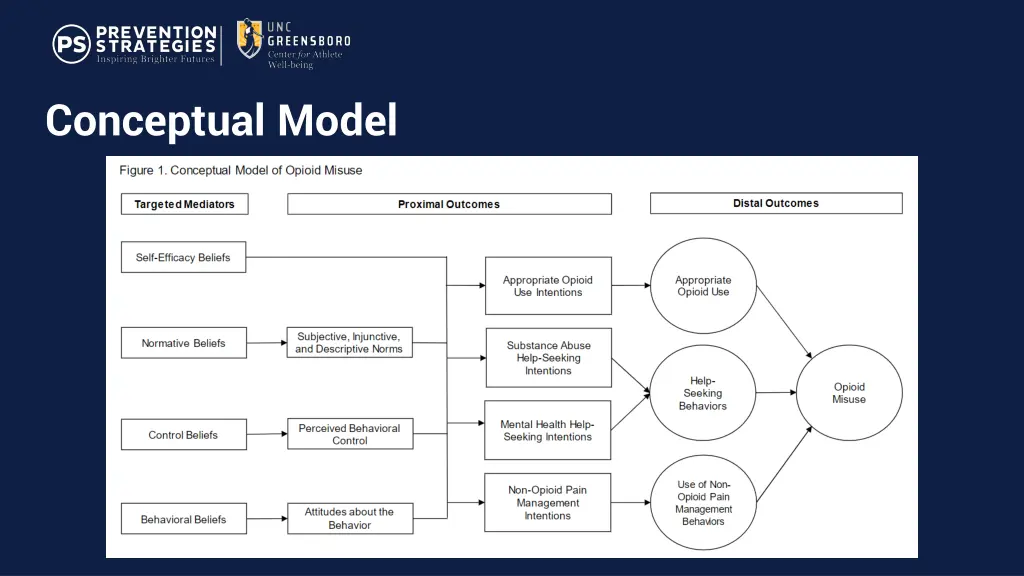 conceptual model