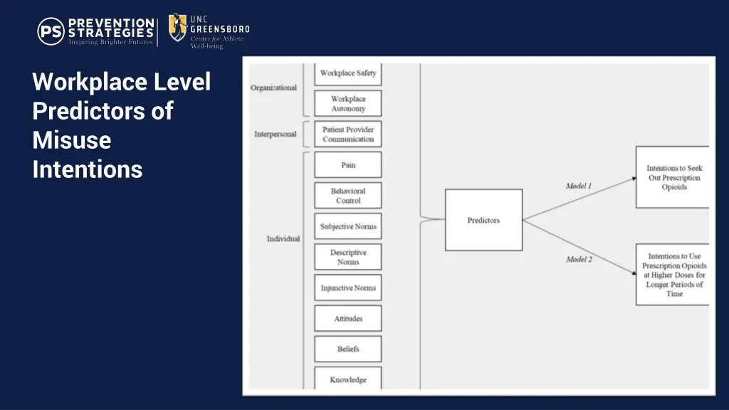 workplace level predictors of misuse intentions