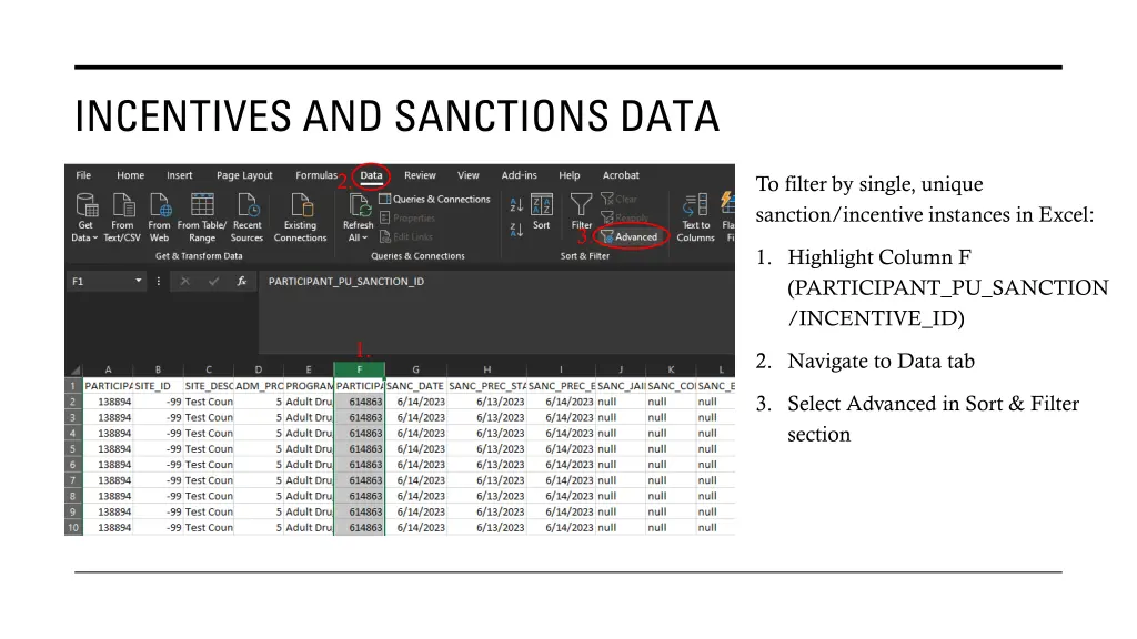 incentives and sanctions data 1