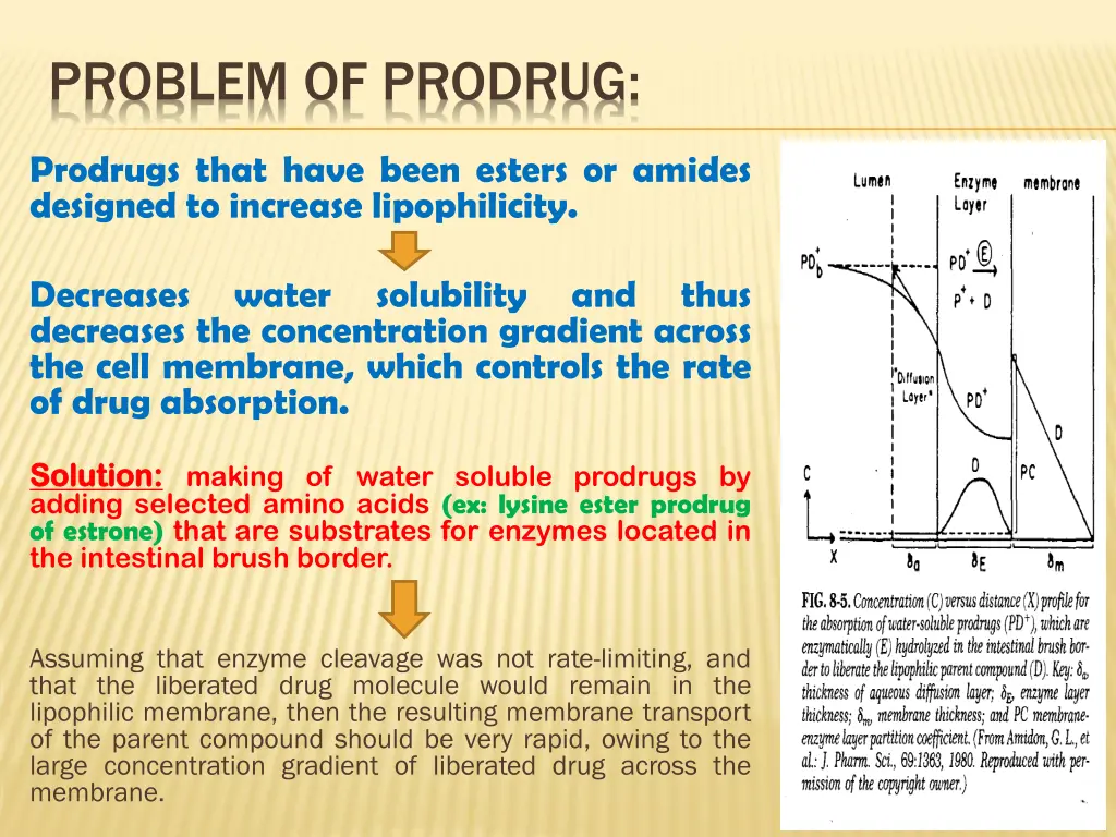 problem of prodrug