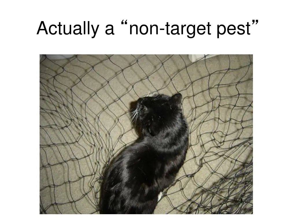 actually a non target pest