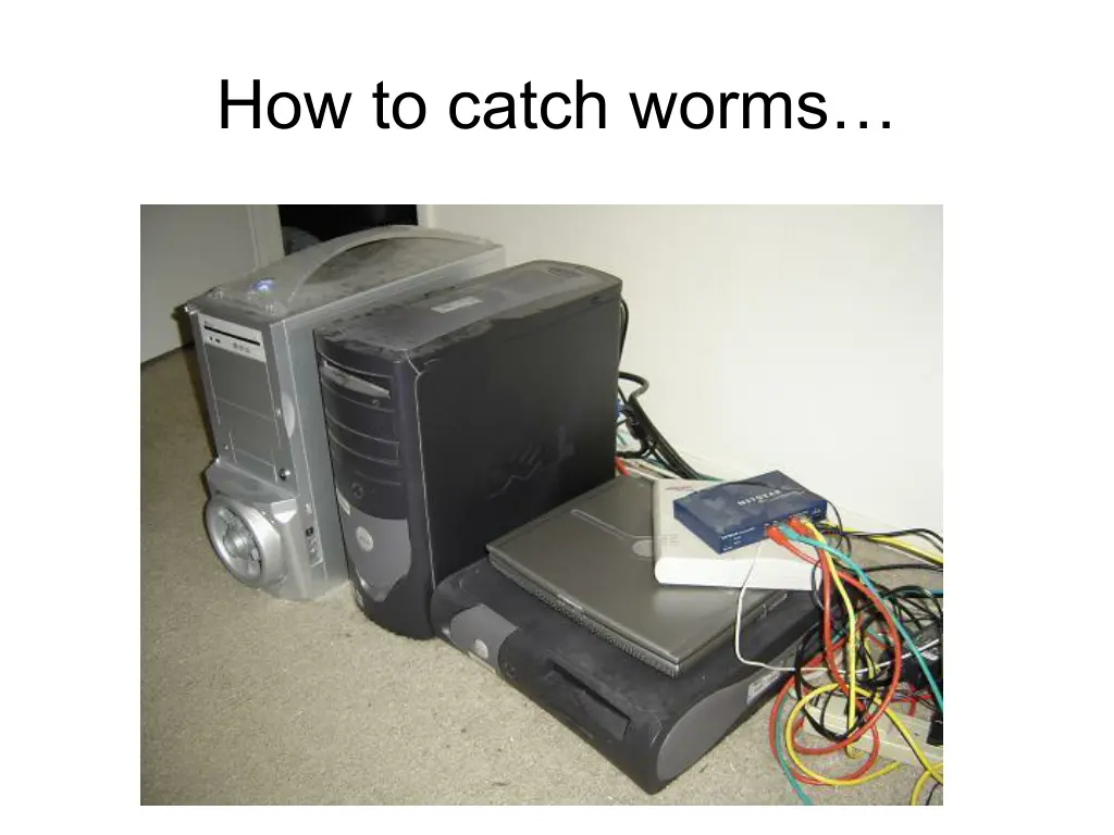how to catch worms