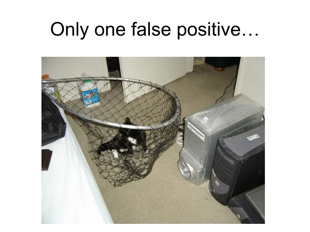only one false positive