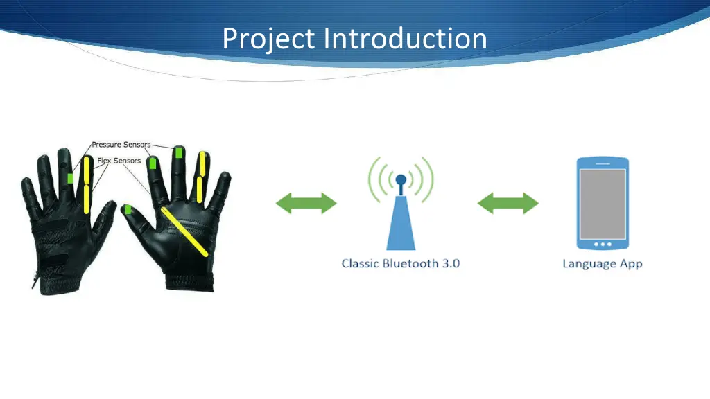 project introduction