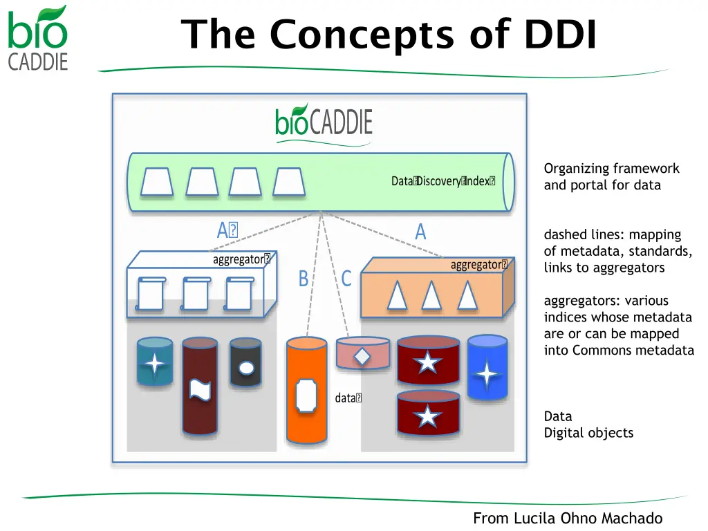 the concepts of ddi
