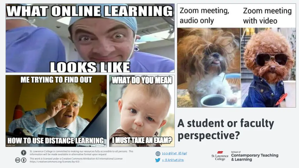 a student or faculty perspective