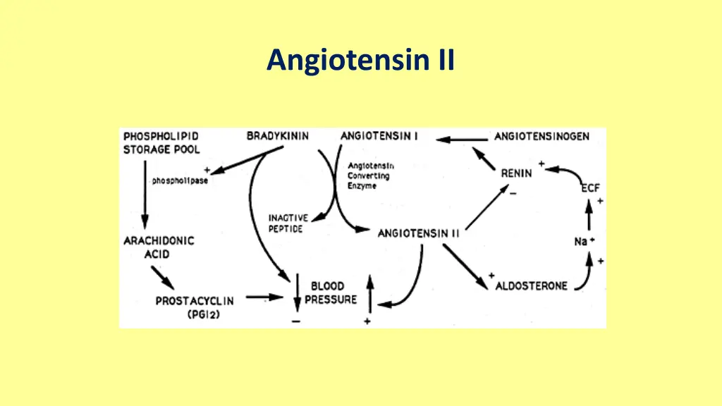 angiotensin ii