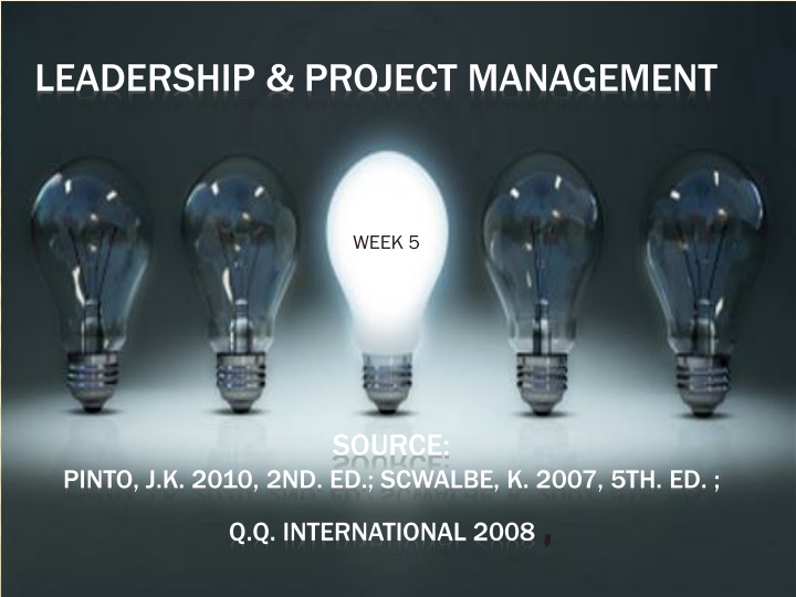 leadership project management