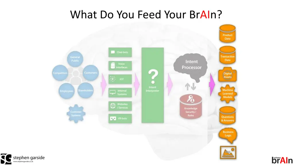 what do you feed your brain