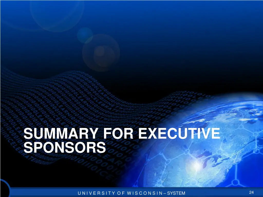 summary for executive sponsors