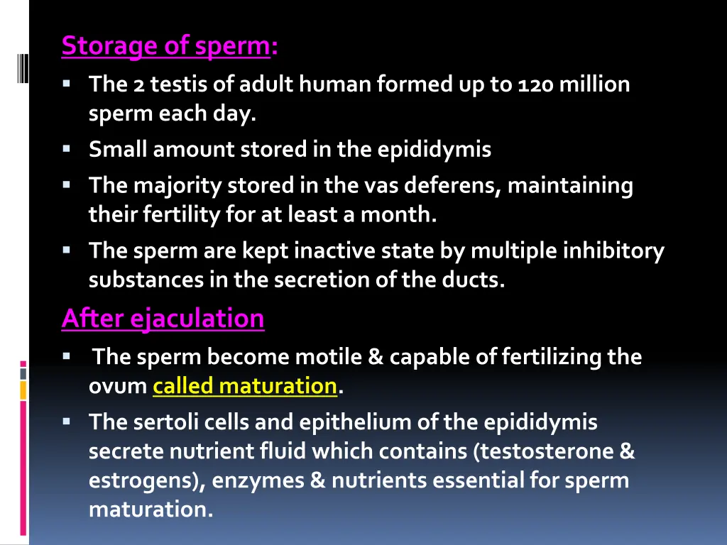 storage of sperm the 2 testis of adult human